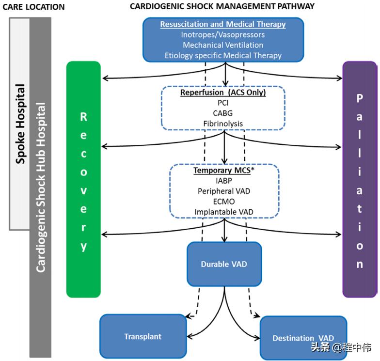 暴发性心肌炎及时发现治疗,最新病毒性心肌炎指南