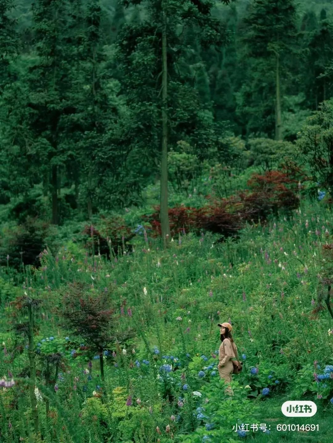 成都避暑带娃旅游景点推荐,成都夏天避暑露营哪里最凉快