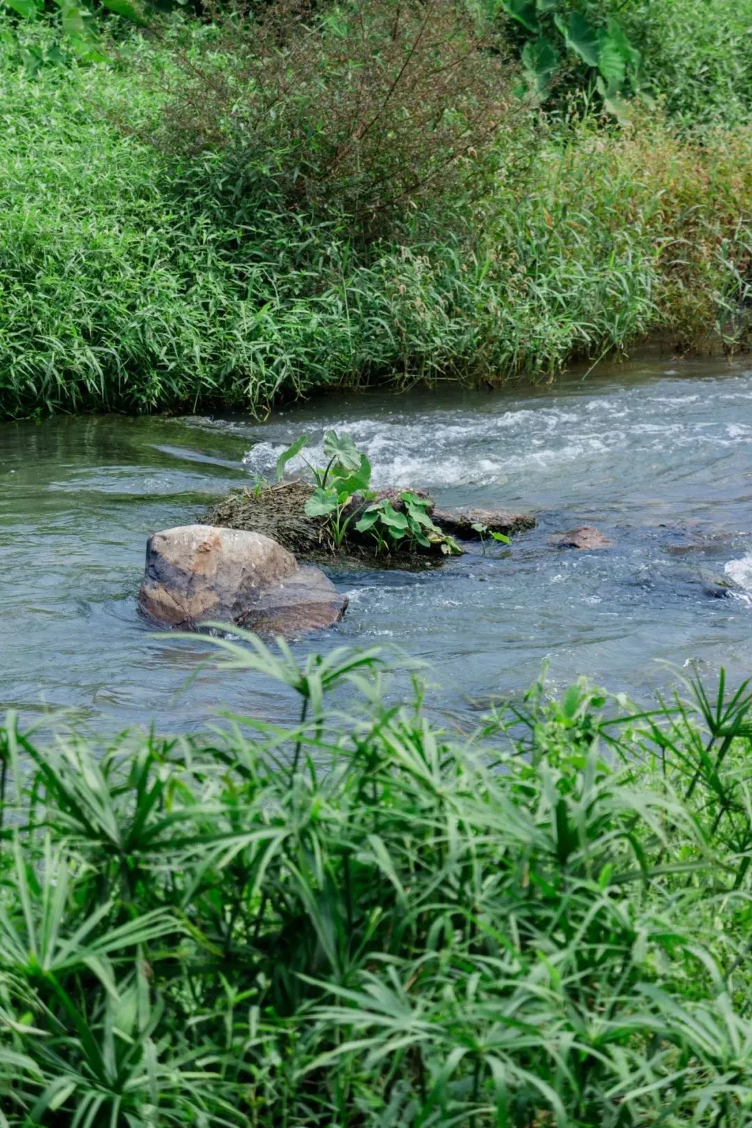 国内好看小众的湖泊,深圳好玩的湖泊有哪些