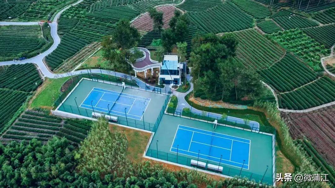 四川省蒲江县最美生态乡村,蒲江网球场