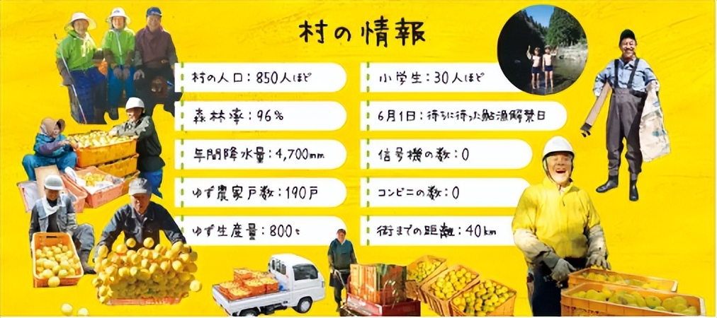 被中国淘汰的日本柚子，为何能风靡海外？|宝藏食材