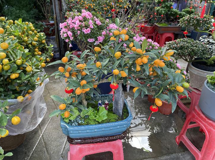 广州芳村花地古玩城,花地湾古玩城花市