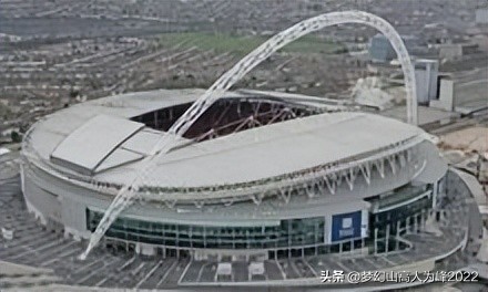 专业足球场草皮,专业足球场多大