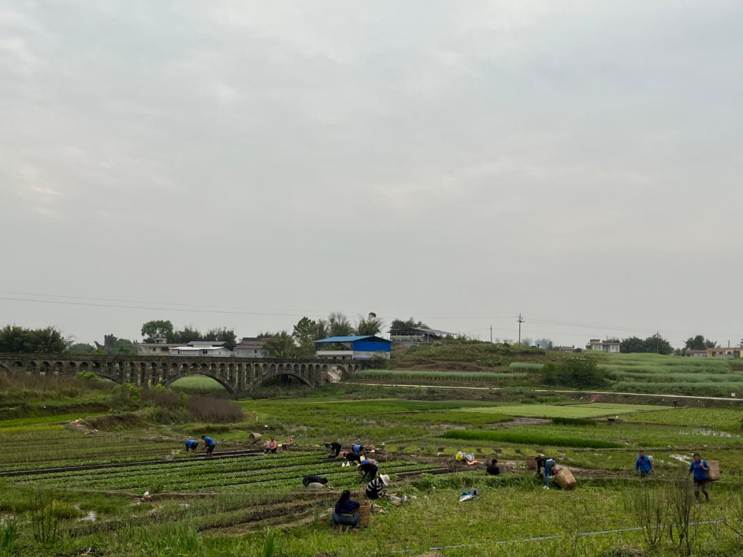 欢迎来到宜宾“北大门”！孔滩