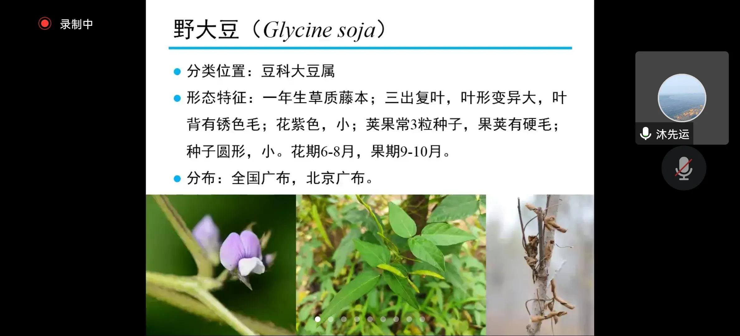 捕鸟获刑,捕鸟被抓要坐牢吗