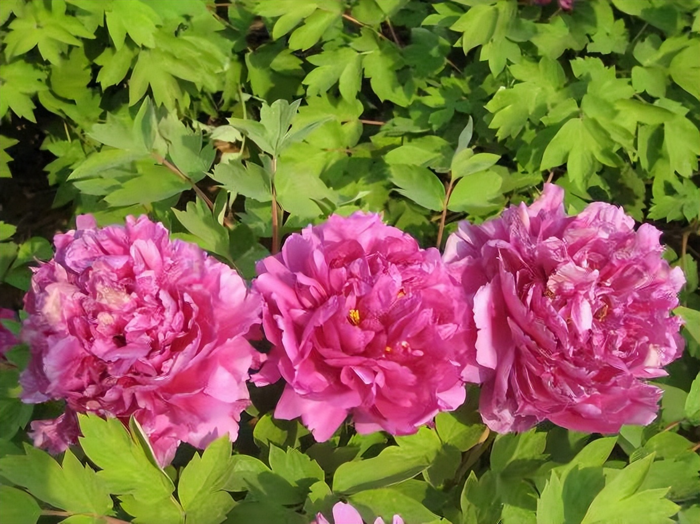 家长眼里的高中,家长眼中的漂亮的学校