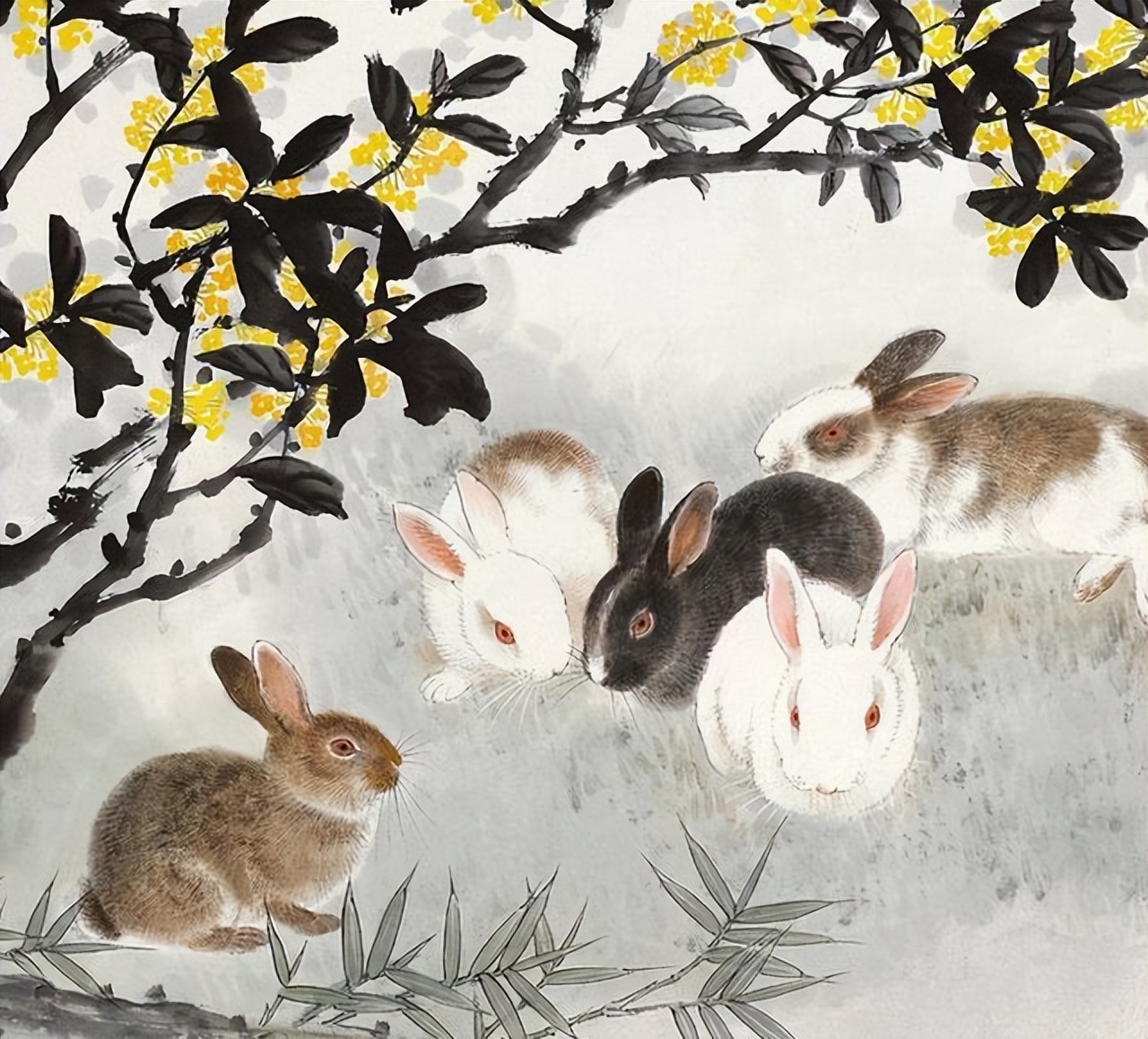 情比金坚不分离的生肖,情比金坚的五大生肖