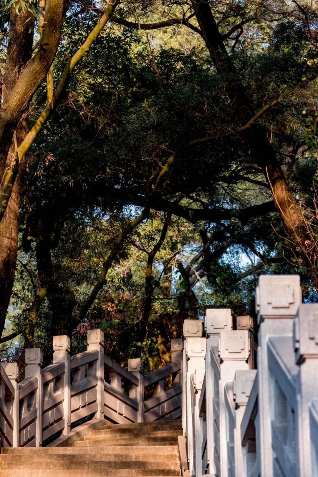 深圳地铁五号线十号线游玩地点,深圳地铁12号线最新最全线路图