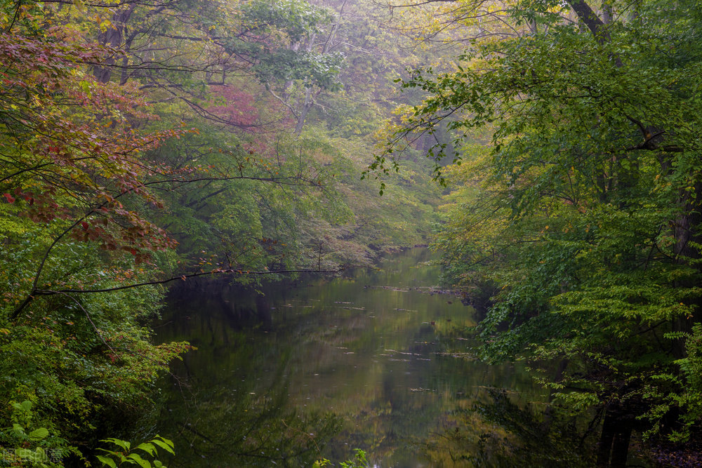 李白写过沙丘城下寄杜甫,望月思乡李白即兴吟诗