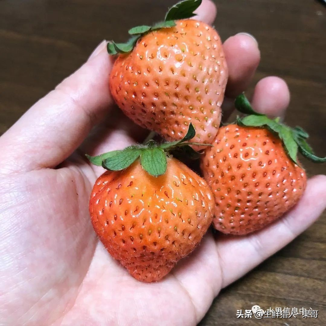 最好吃的白草莓品种前十名,好吃实惠的草莓品种有哪些