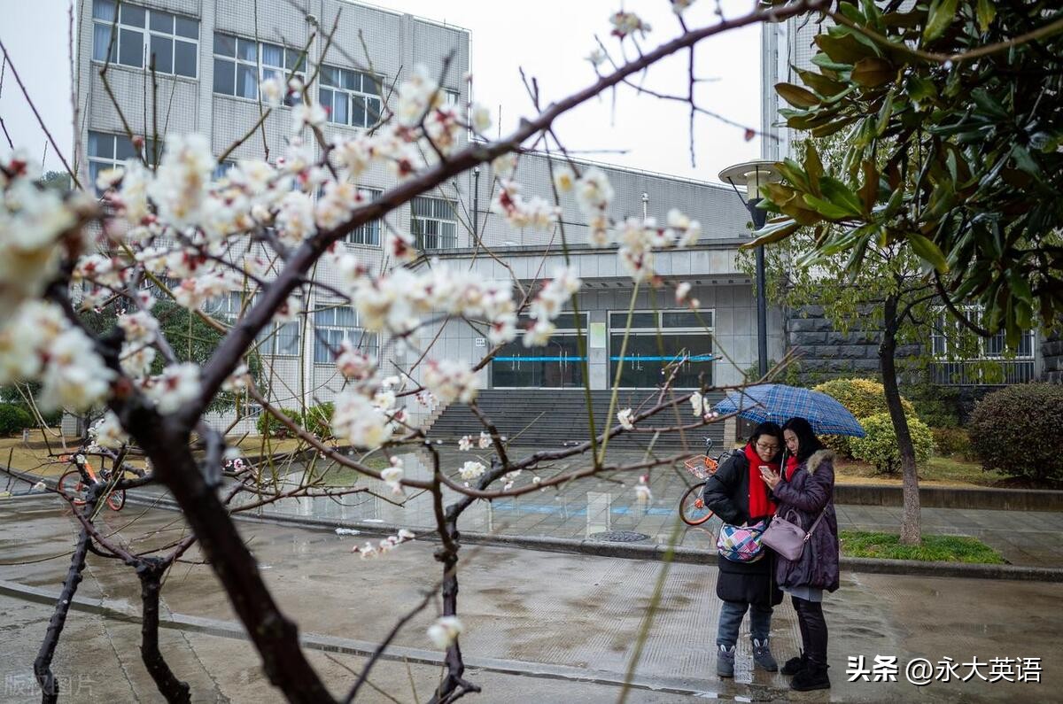 小学外研版英语教材纵向分析,小学英语教材学情分析理论