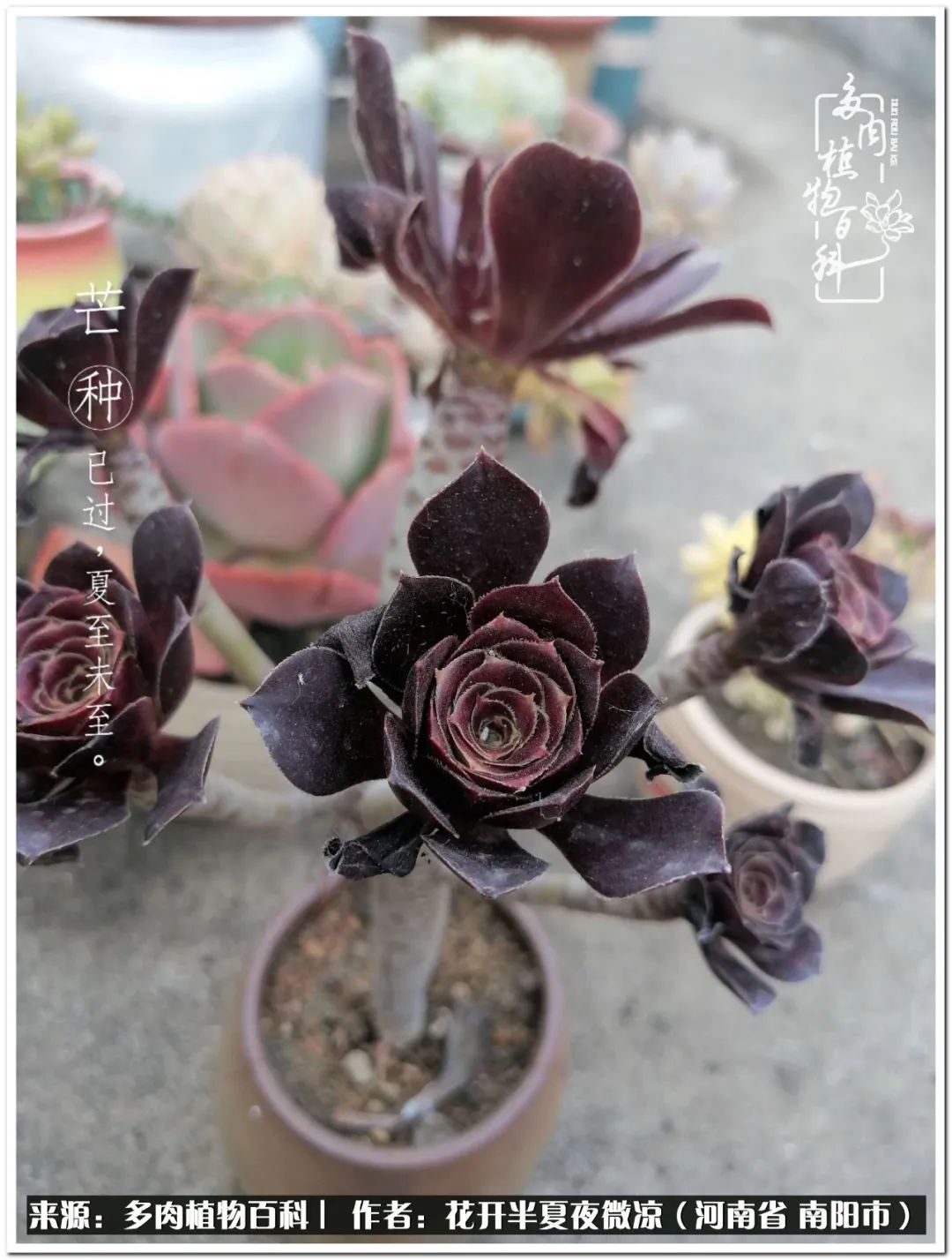 万事开头难只要坚持才有收获,万事开头难只要肯干就会有结果