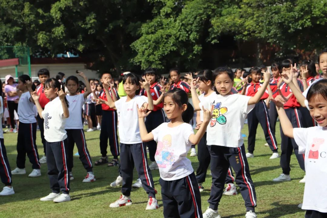 逐梦绿茵晨光足球赛,逐梦绿茵足球联赛