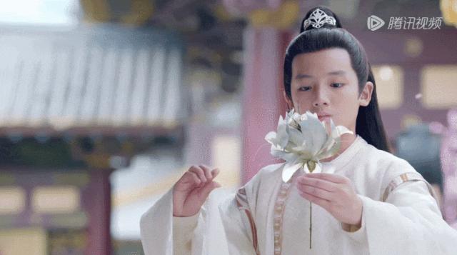 预排暑假档的仙侠剧有哪些,今年夏天火的仙侠剧有哪些