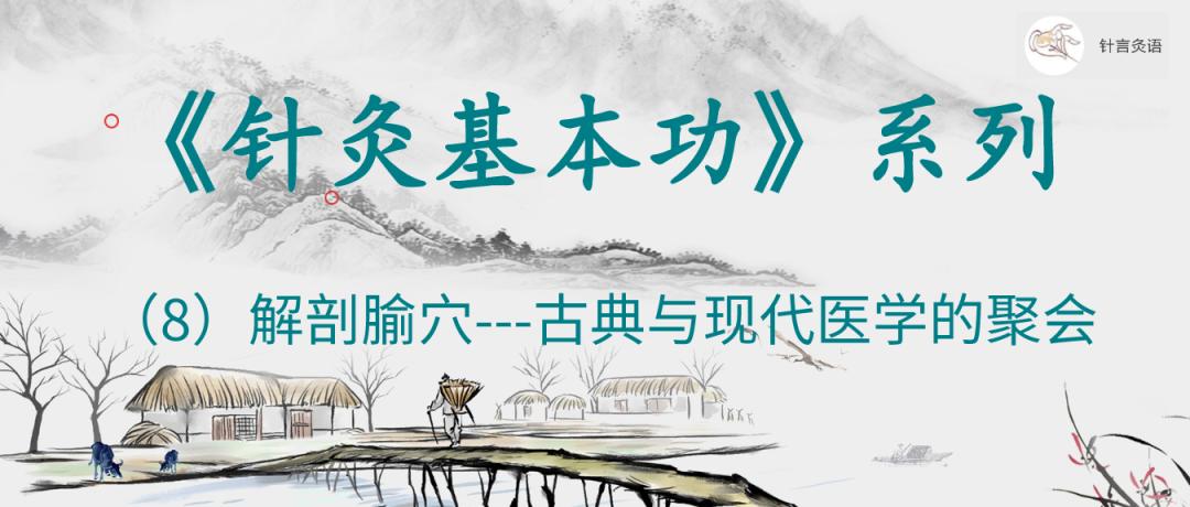 针灸基本功系列第3篇,针灸基础知识五腧穴的背诵方法