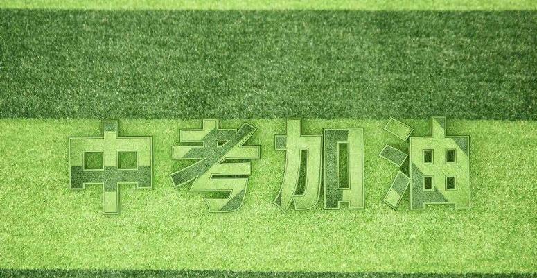 2002年韩日世界杯一人打进5球是谁,2002年韩日世界杯德国和巴西决赛