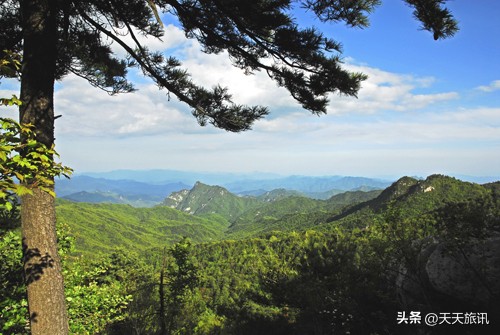 河南景点森林氧吧,河南五地入选中国天然氧吧