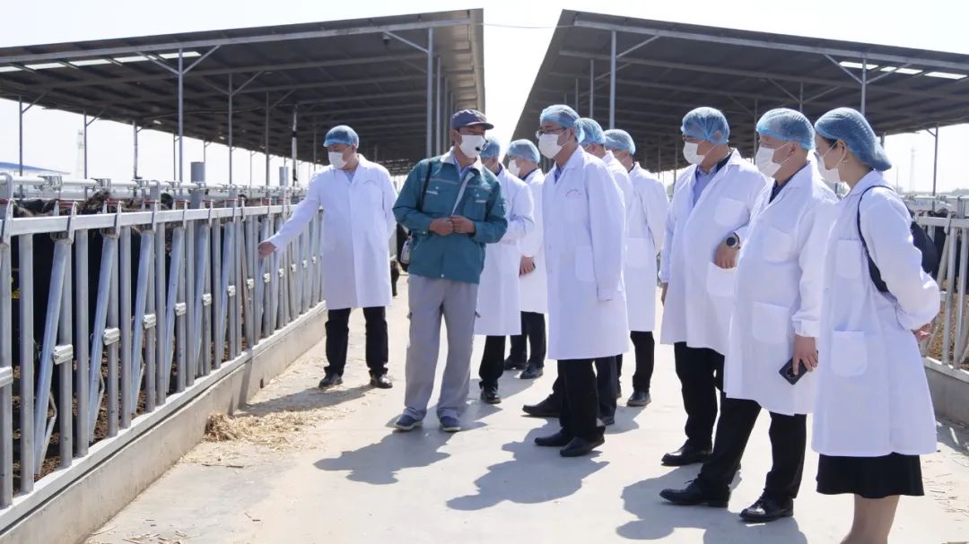 聚焦发展，共赢未来！内蒙古通辽市扎鲁特旗领导莅临胜伟考察交流