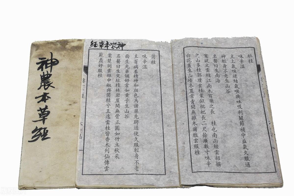 一分钟看懂茶文化发展史,中国茶的起源和茶道简介