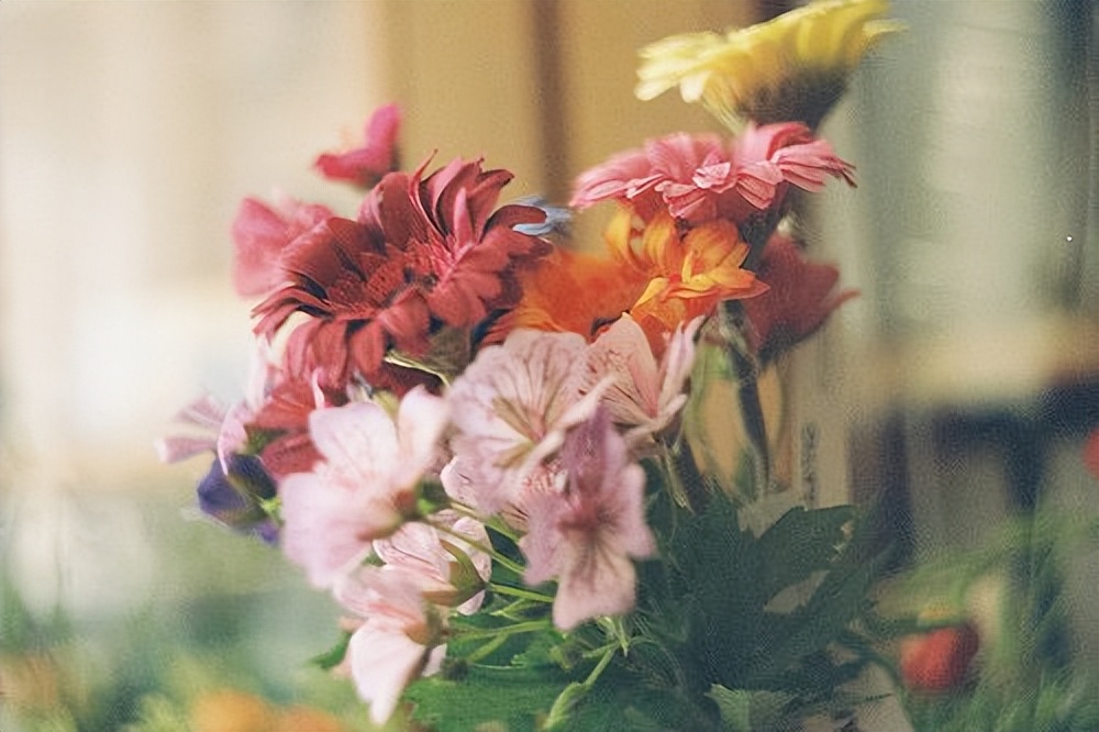 女人没钱时怎么对自己好,女人越来越没钱