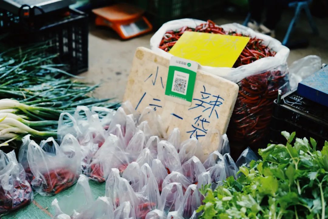 公司的旅游团建必须去吗,旅游团建机构有哪些好的