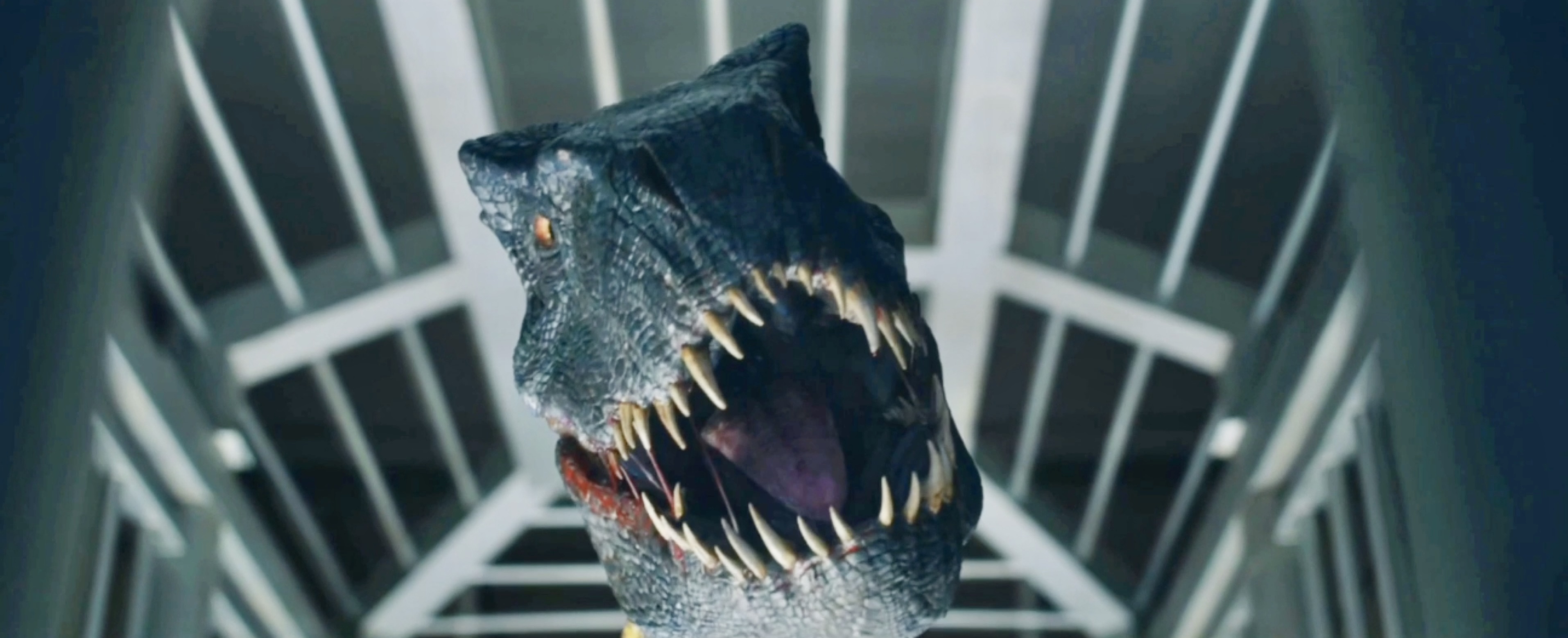 侏罗纪里面打不过霸王龙的恐龙,侏罗纪时期的恐龙迅猛龙