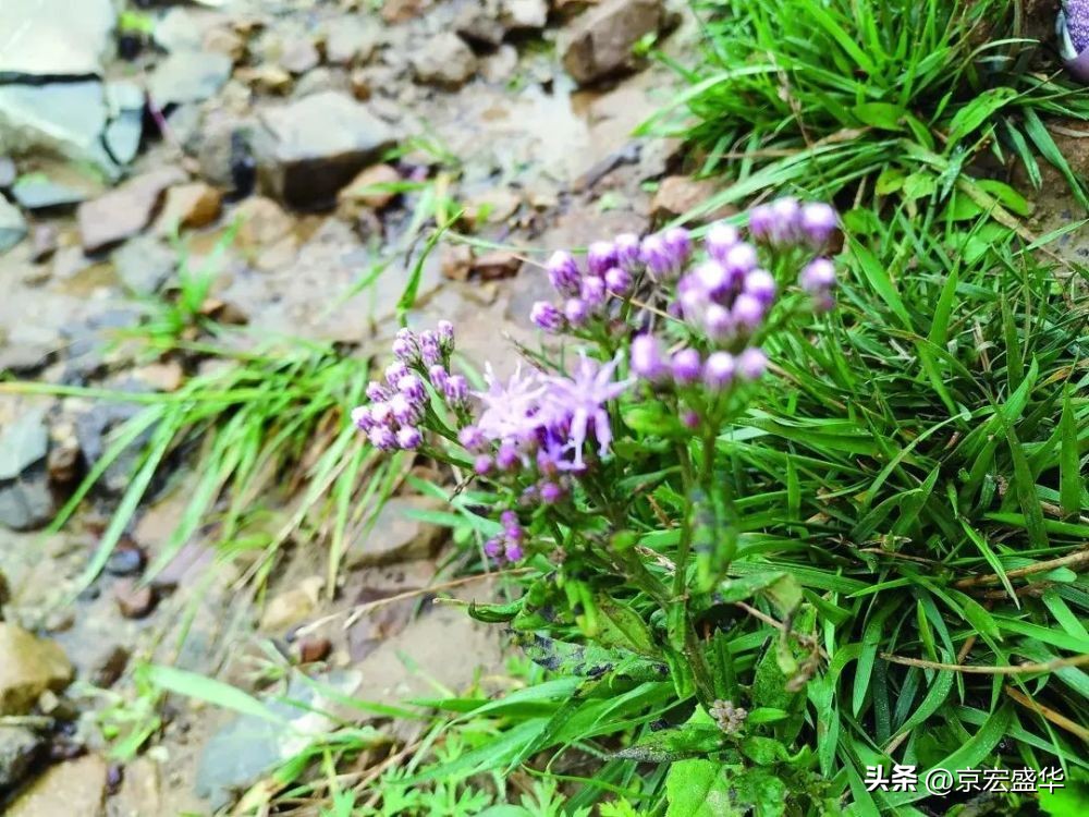 晋城的九重天阙