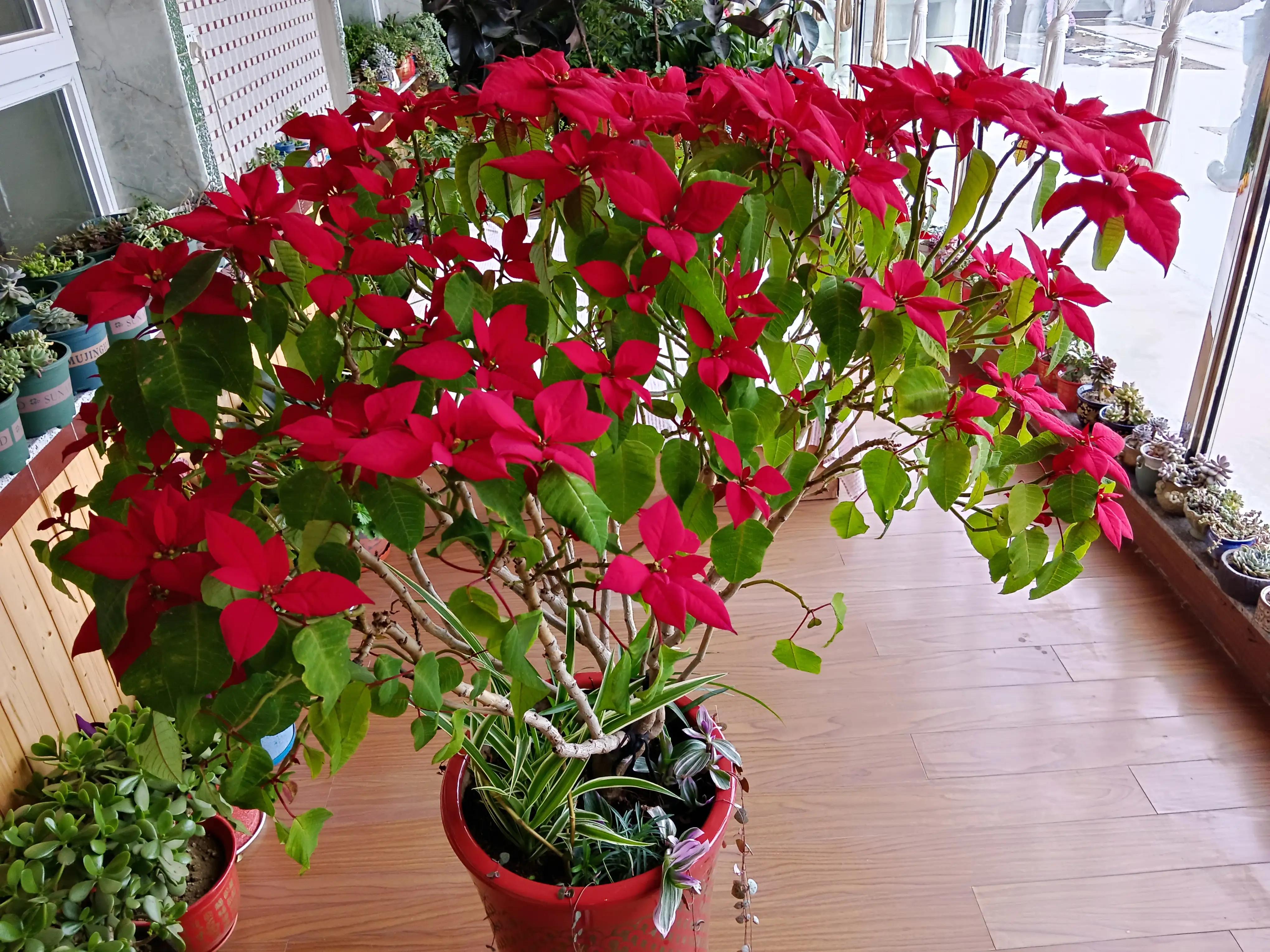 带有季节加数字的诗句飞花令,诗词飞花令季节