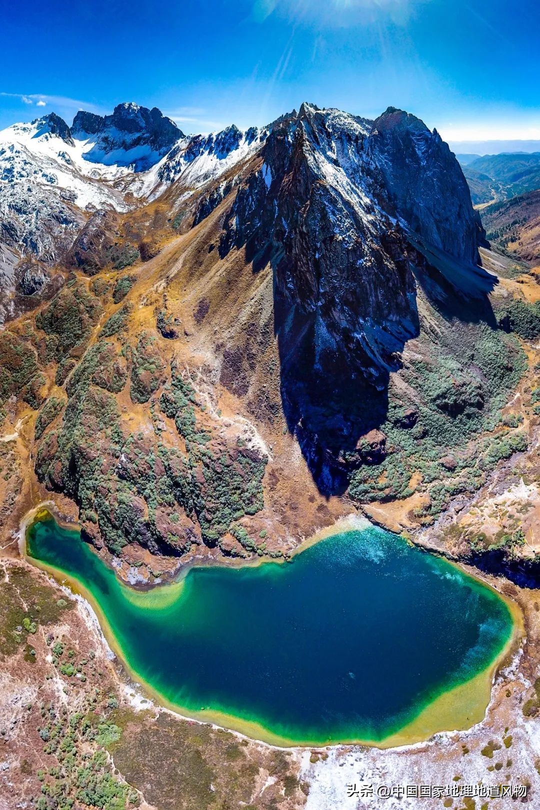 我国哪里盛产火龙果,全国最大的火龙果基地是哪里