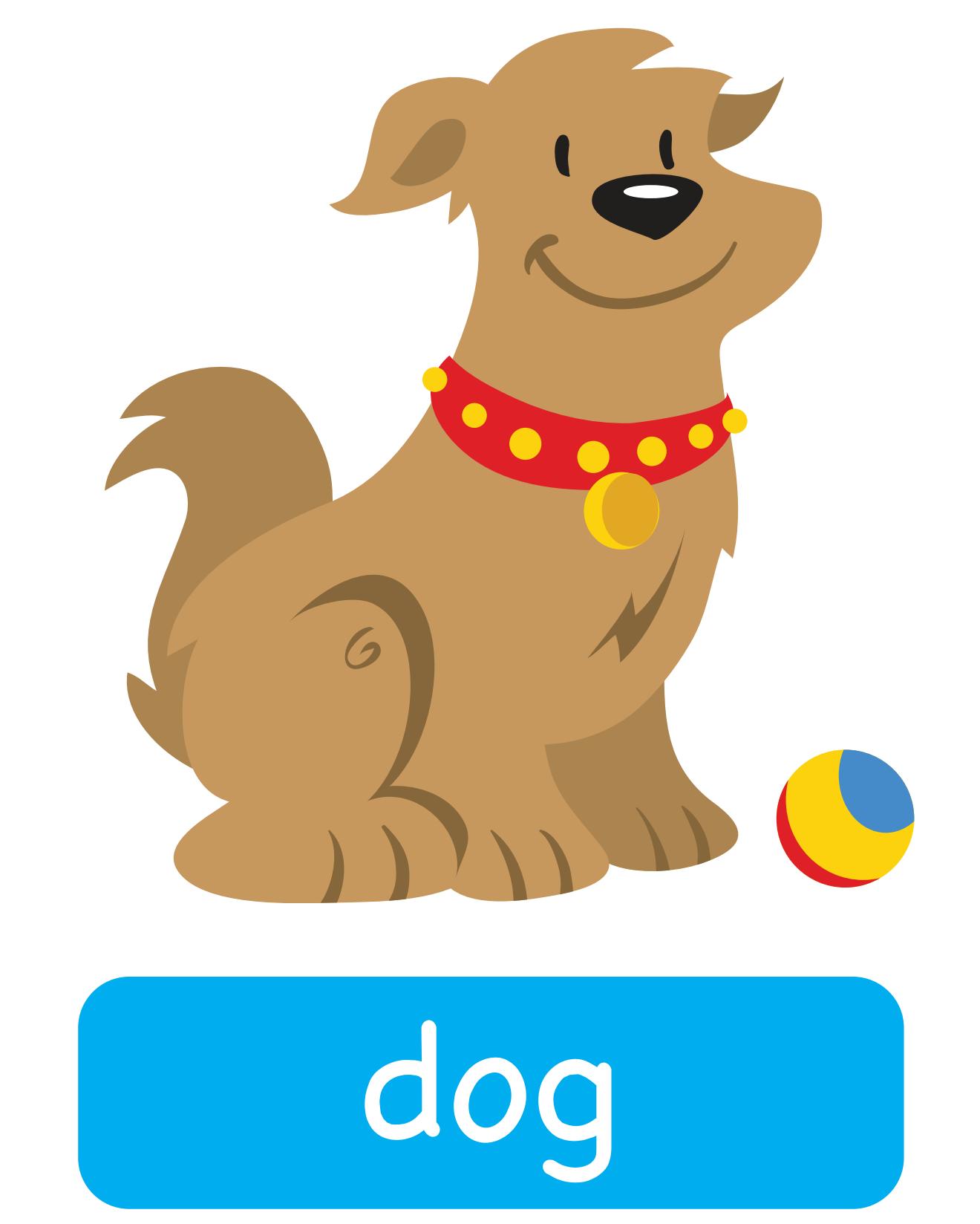 图说英语单词：高清动物类卡片，一图一单词