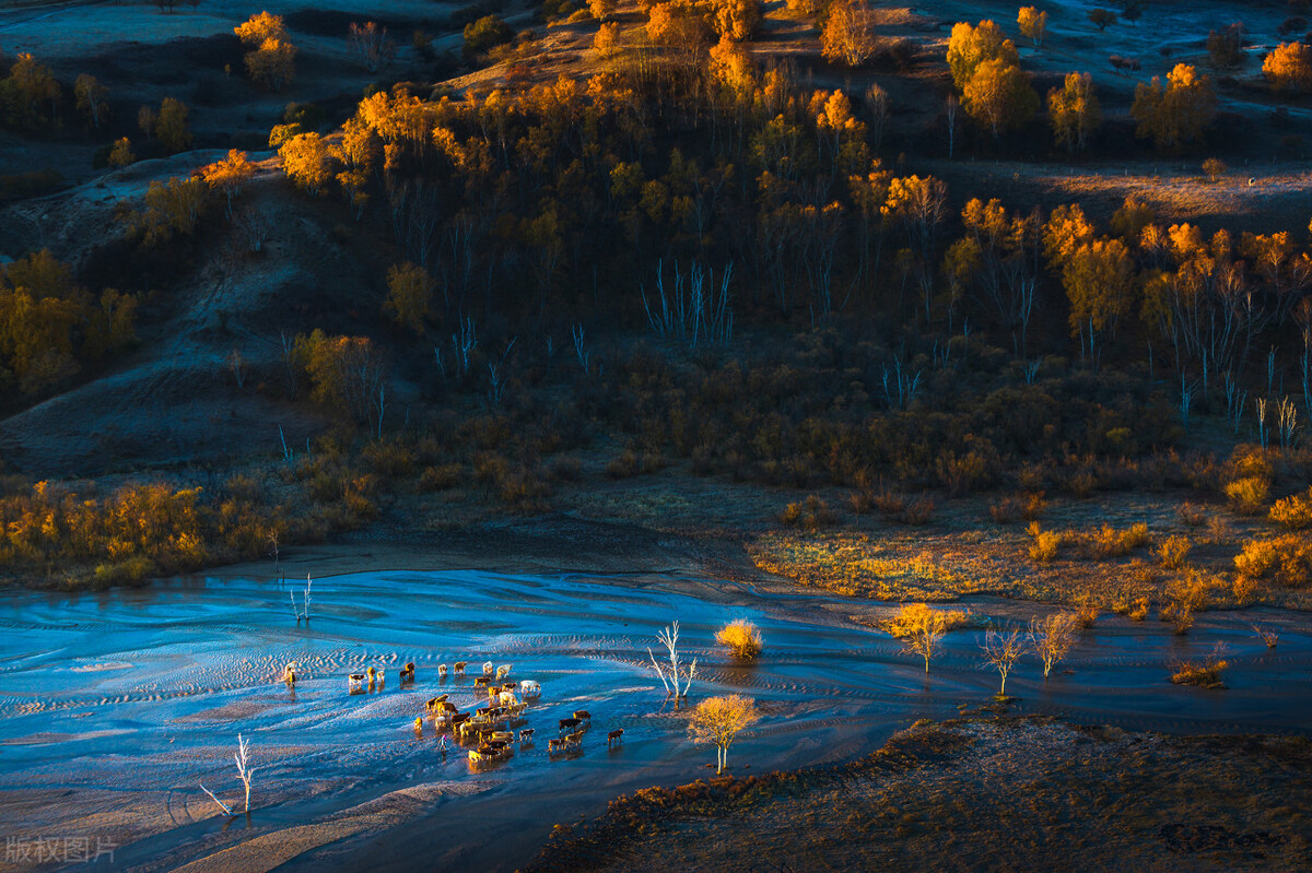 去内蒙古呼伦贝尔草原旅游攻略,旅游攻略内蒙古呼伦贝尔自驾游