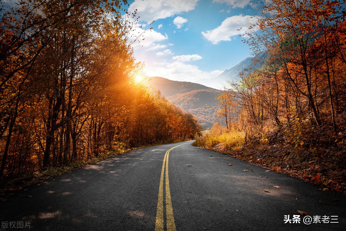 女作家去做保姆474,女作家去做保姆583