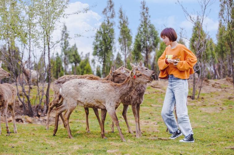 五一适合亲子游郑州,郑州适合亲子旅游的地方一日游