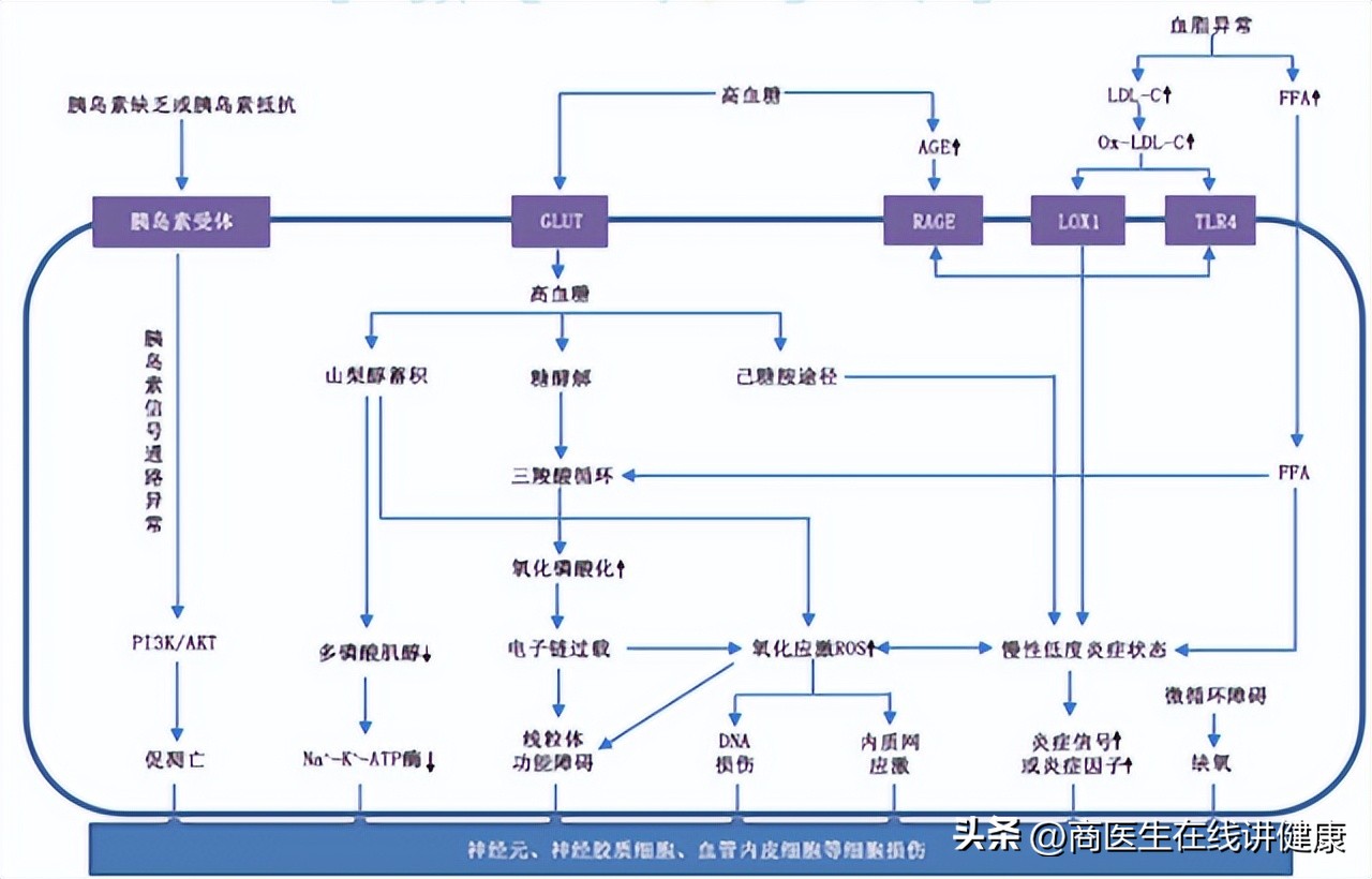 糖尿病神经病变吃什么药修复神经,糖尿病常吃这5种食物血糖高