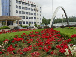 合肥市有哪些高中学校,合肥市高新区高中排名