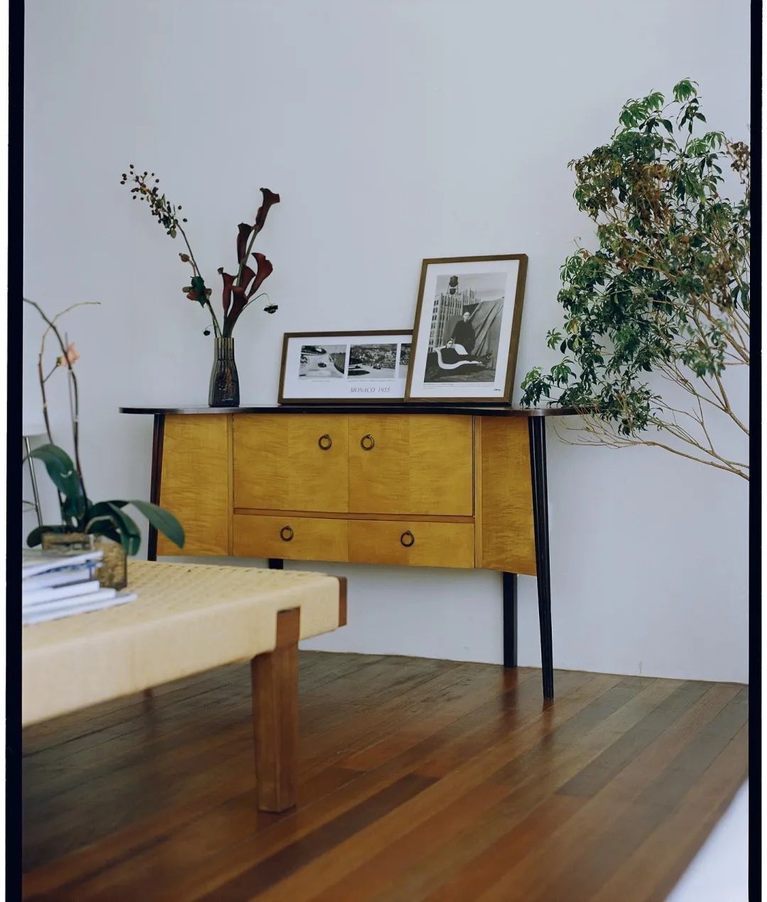 独居上瘾?她9年换租4个上海老洋房:一个人住是我的生活底线