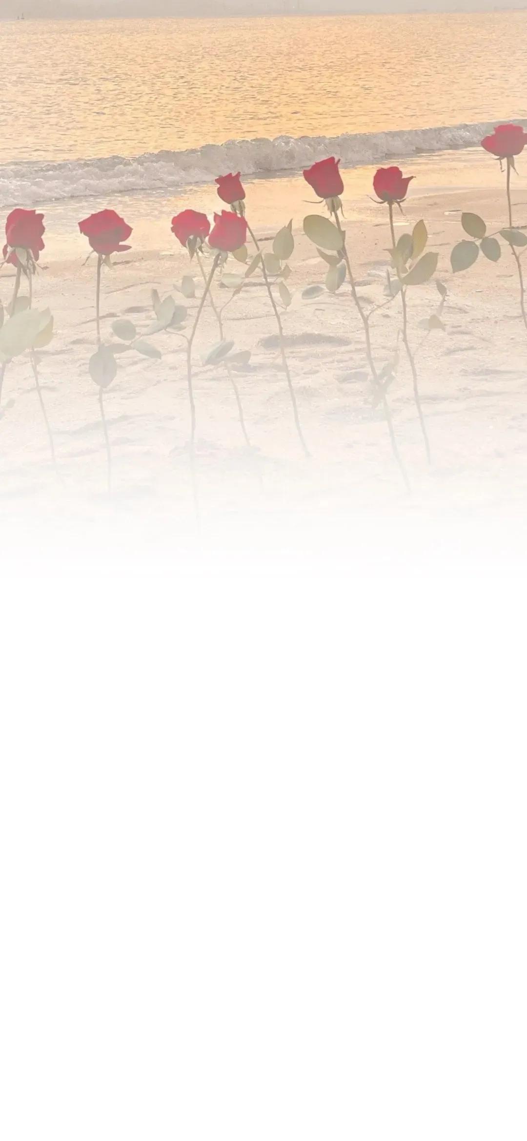 渐变晕染聊天背景图,渐变式聊天背景图