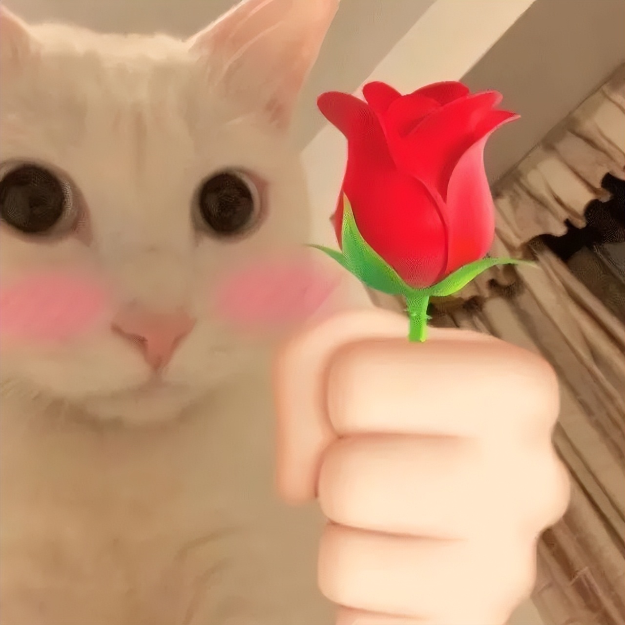 贩剑表情包评论区,贩剑表情包不回消息