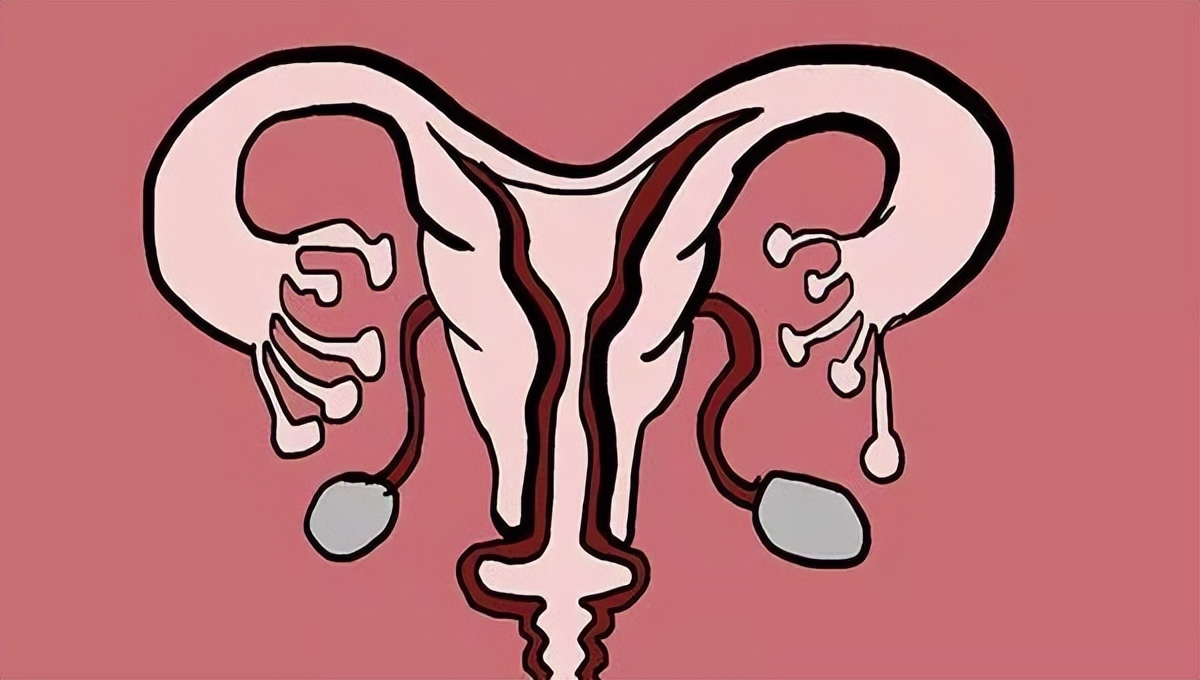 卵泡和内膜都好怀孕几率大吗,子宫内膜和卵泡