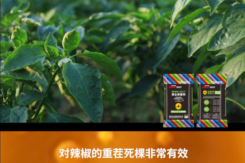 品质累积信任,迪斯科兰陵地区冬储畅销无阻