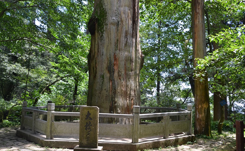 杭州游玩必去的十大景点,杭州必去旅游的十大景点