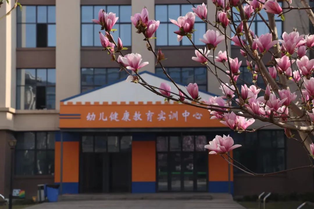 介绍护理学院,护理学院的学院简介