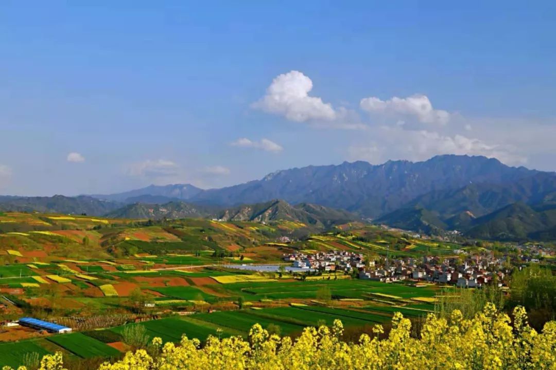 陕西周至猕猴桃哪种最好吃,陕西的猕猴桃是什么季节吃的