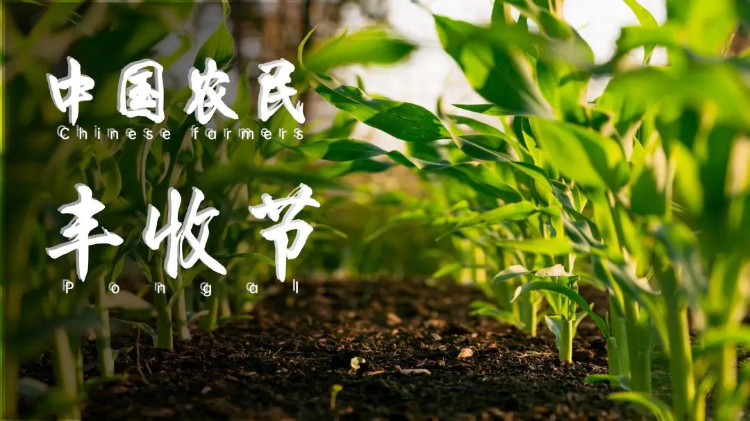 关于振兴农业的ppt模板,乡村振兴让家乡巨变ppt模板