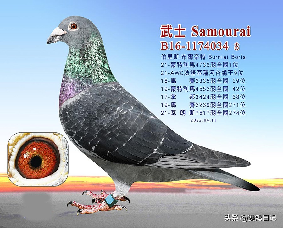 依天迪沃斯席丹号，伯里斯鸽系的起点