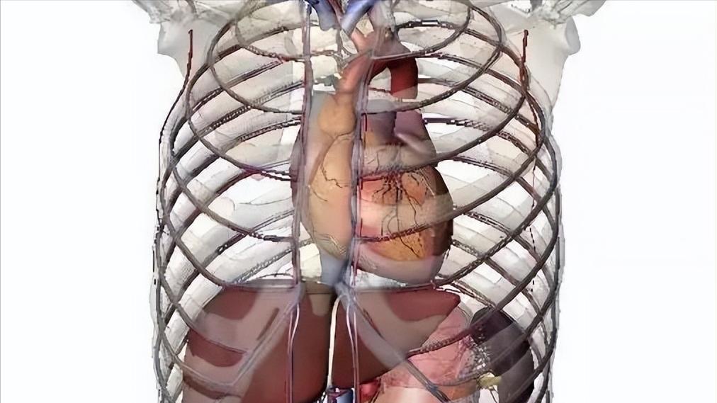 新冠特效药奈玛特韦使用结果,新冠特效药替诺福韦缺点