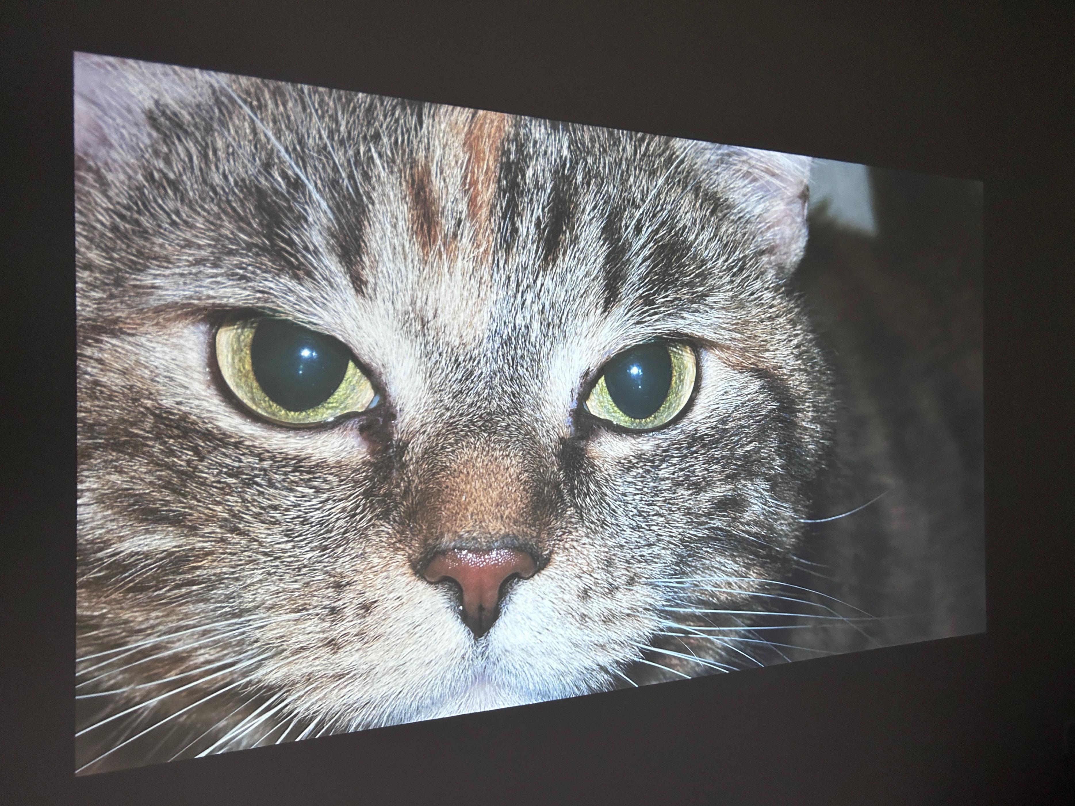 极米新款音箱,极米千元机快乐星球