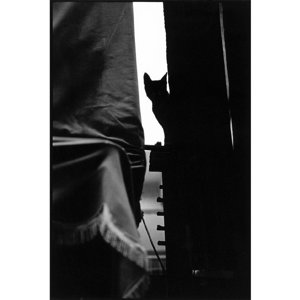 如何提高自己的免疫能力和抵抗力,如何提升自己的免疫力和自愈力