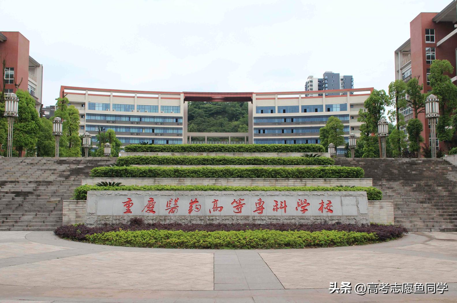 双高计划的医学专科,浙江双高专科院校医学
