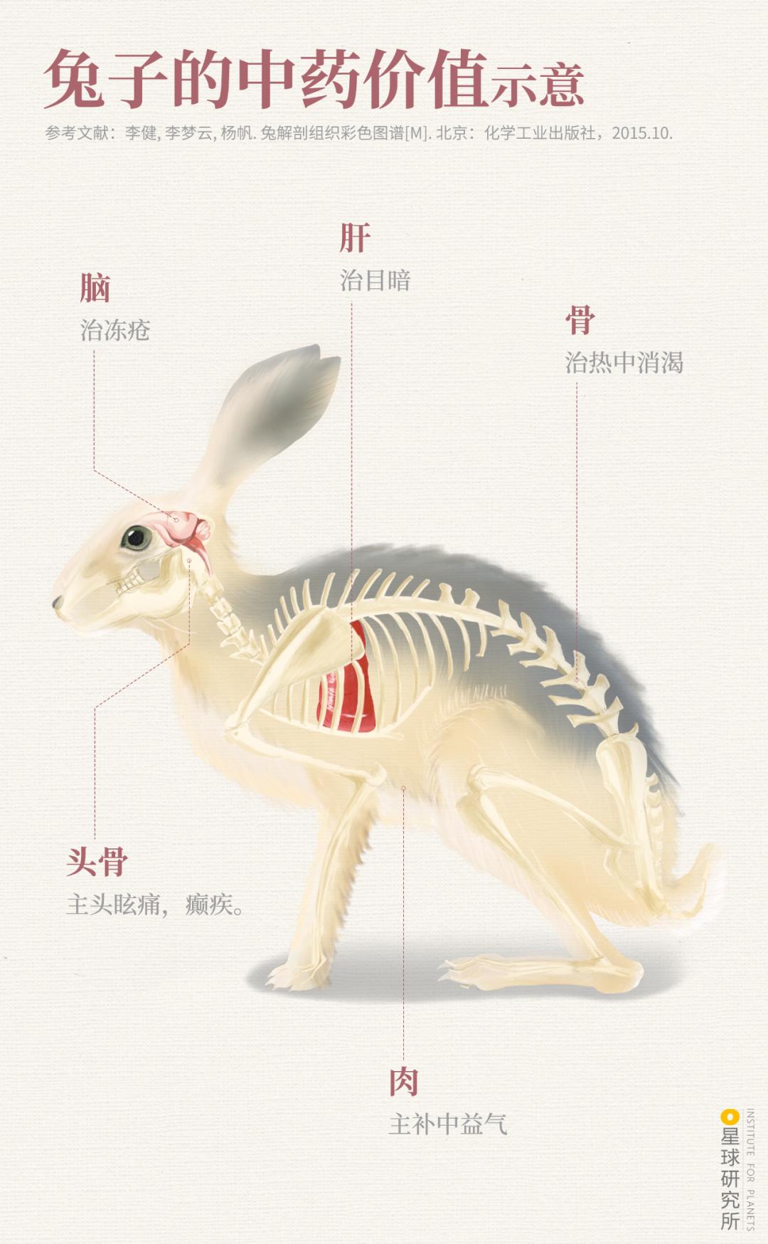兔年来了,兔年来了怎么样